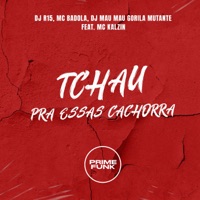 Tchau pra Essa Cachorra (feat. MC Kalzin) - Single - DJ R15, MC Badola & DJ MAU MAU GORILA MUTANTE