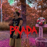 PRADA (feat. The Ace) - Single - BeWool