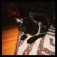 Canción para Sentirte Trillonario - Single - El HueyCoyote