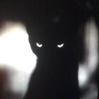 Agenda - Single - nappy 01'