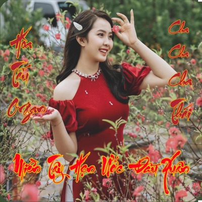 Song - Miền Tây Hẹn Ước Đầu Xuân - Hòa Tấu Organ (Cha Cha Cha Thái) - Le Tan Luc