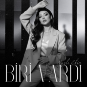Biri Vardı song art