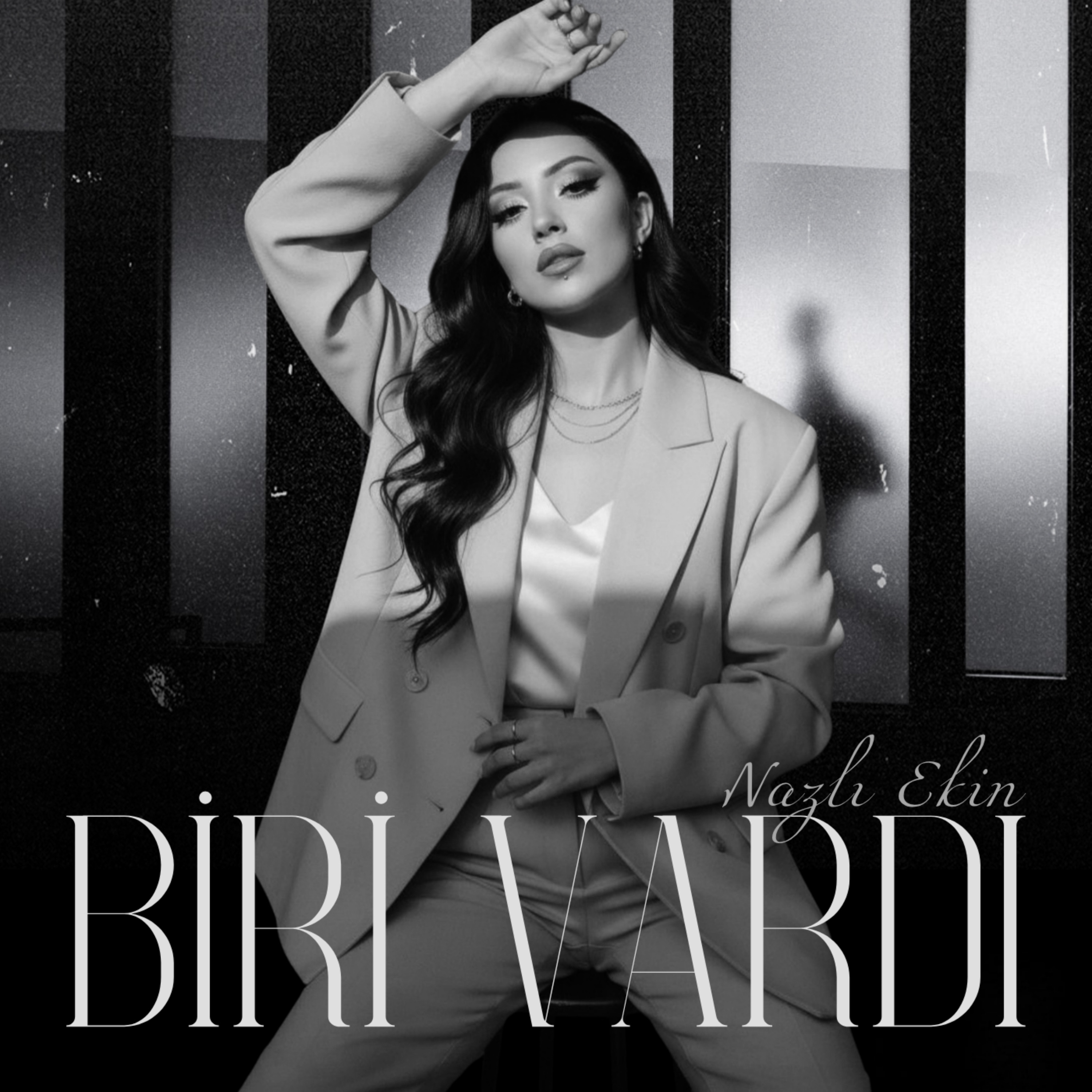 Biri Vardı - Single