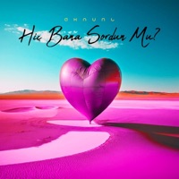 Hiç Bana Sordun Mu - Single - AKNUNL