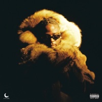 The Good Bad Guy - dndSection