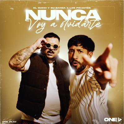 Nunca Voy a Olvidarte - Single