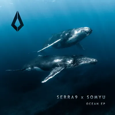 Hör dir „Ocean - Single“ von Serra 9 & somyu an