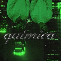 QUÍMICA - Single - Joe Lee & Mike Zoto