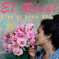 El Rosal (LIVE At Drom NYC) (feat. Bárbara Martínez, Albert Alabedra, Olyda Ola, Bob DiGiacomo, Engin Gunaydin, Gonzalo Grau & Yusnier Sánchez Bustamente) [Live] - Single - ALBA Musik