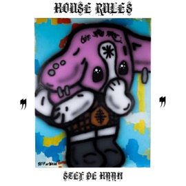 'HOUSE RULES' Stef de Haan
