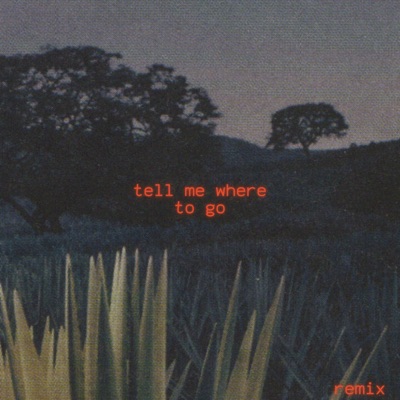 Tell Me Where to Go (feat. Olivia Cooney) [Remix] - Single
