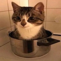 Dance! - Single - ap47hyc0r3 & heartsayuu