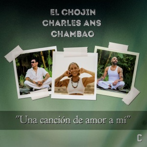Una canción de amor a mí