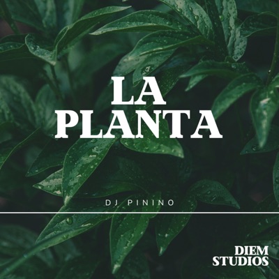 La Planta (feat. Dj Pinino) - Single
