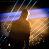 Party On My Own (feat. Railey) - Single