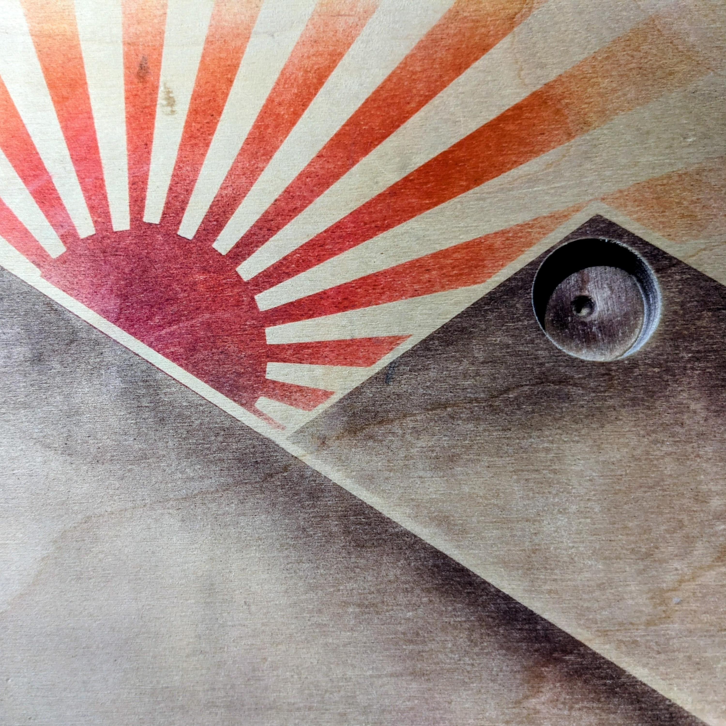 The Chimney Swallows