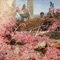 Venus and Flower - Austin Farwell lyrics