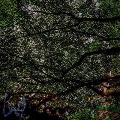 EGM (feat. NW Xyndi) - Single