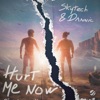 Hurt Me Now cover art