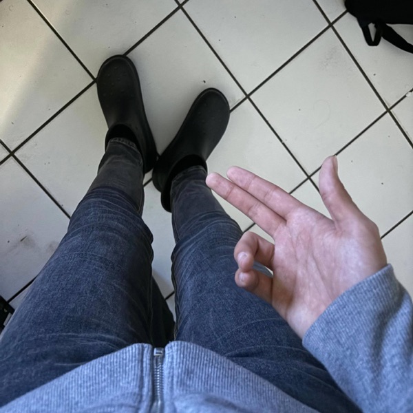 Steer