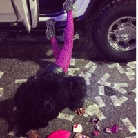 Keiner besteht - Single - K8A