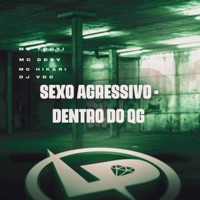 Sexo Agressivo - Dentro do Qg (feat. MC Hikari) - Single - MC Todyi, MC Ddsv & DJ VDC