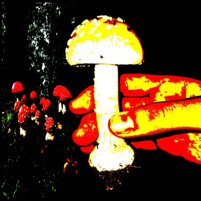 pequenosesporos - Single