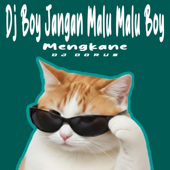 DJ BOY JANGAN MALU MALU BOY