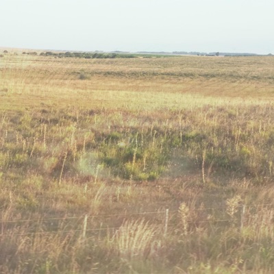 Verde - Single