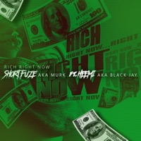 Rich Right Now (feat. Heemi) - Single - Short Fuz3
