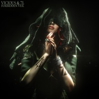 Forbidden Veil - Single - VICIOUS & 7L