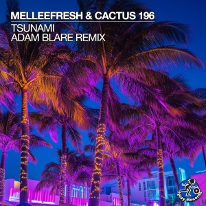 Tsunami (Adam Blare Remix)