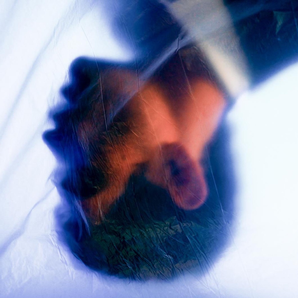 Vince Palmeri - GHOST - Single (2026) [iTunes Plus AAC M4A]-新房子