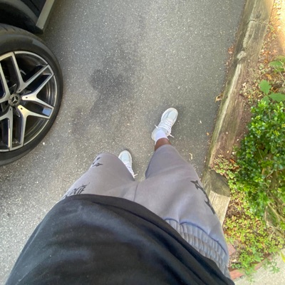 animals #zessbounce - Single