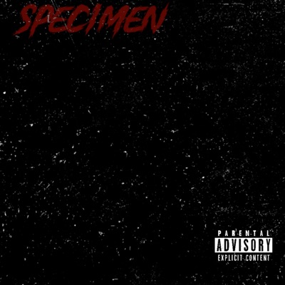 SPECIMEN - Single