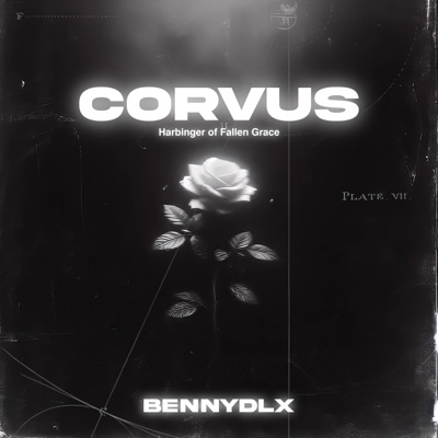 Corvus - Single