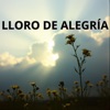 Lloro De Alegria