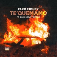 Te quemamo (feat. Flex Money & Muny Mando) - Single - Garu Averia