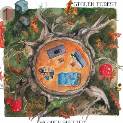 Wooden Shelter - Single