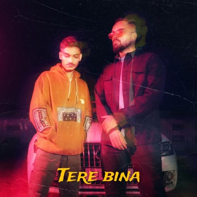 Tere Bina (feat. Akshat Jakhar) - Single