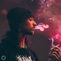 Molotov! - Single - Krist