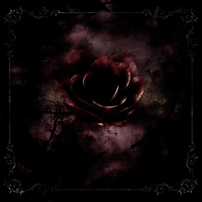 identity disturbance - Single