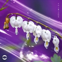 Chi-Town (feat. Łaszewo) - Single - Koastle