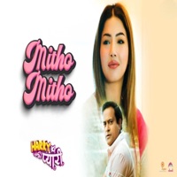 Mitho Mitho - Harry Ki Pyari - Single - Debanjali Joshi