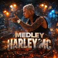 MEDLEY HARLEY MC - Single - Harley Mc, Dj Raffa Oficial & Fabuloso