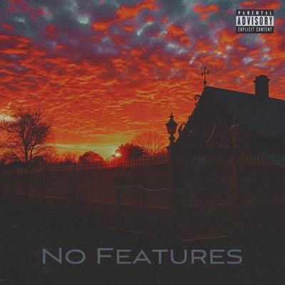 No Features