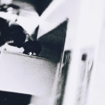 MISSED CALLS - Single