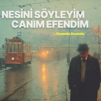 Nesini Söyeyim Canım Efendim - Single - Etnomix Anatolia