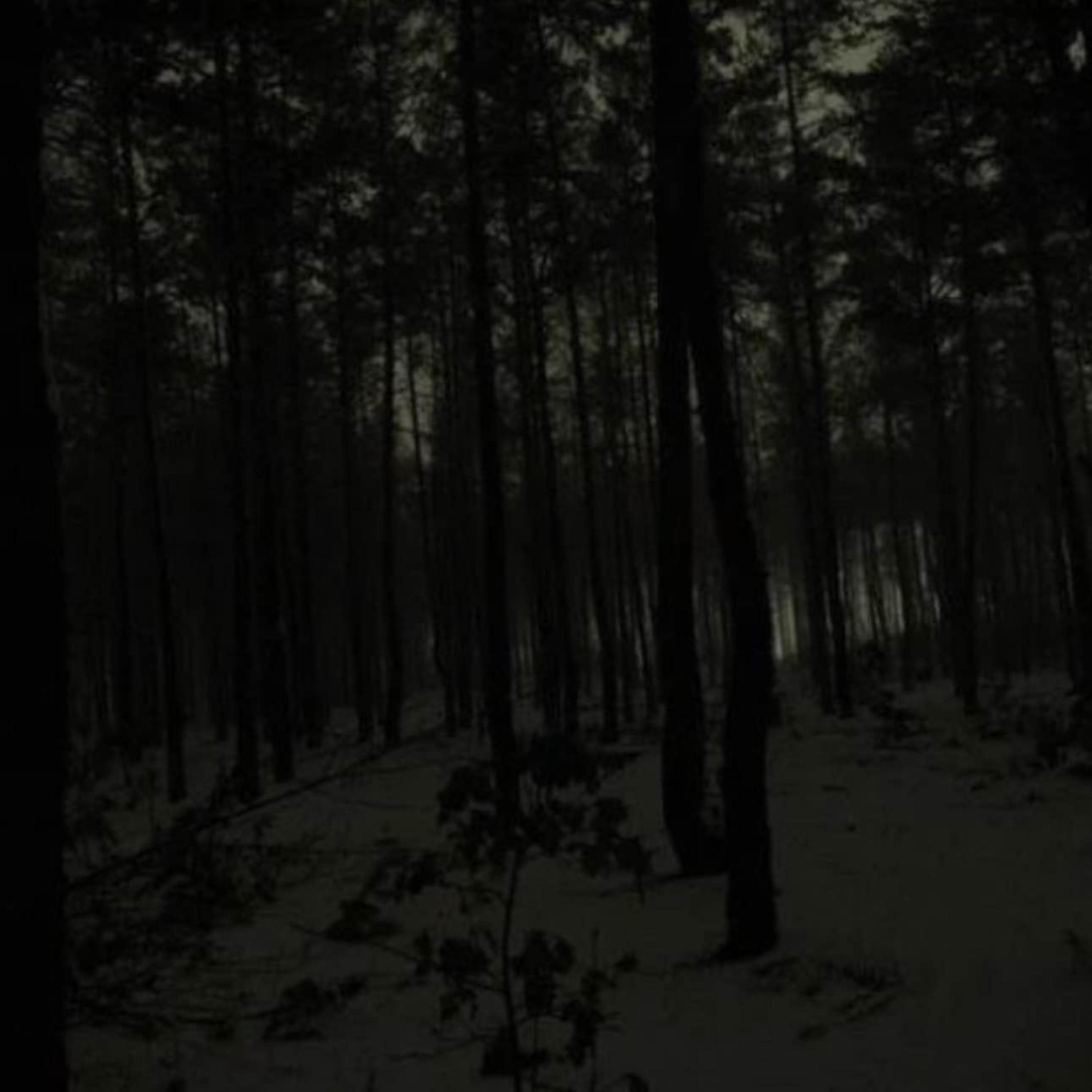 Separate Ways - Single