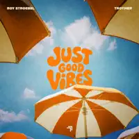 Just Good Vibes — Roy Stroebel & TROYMER